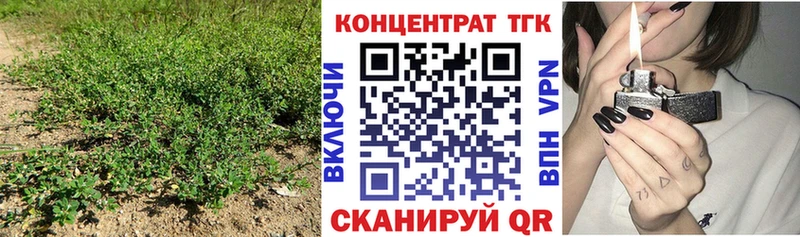 где купить наркотик  Рошаль  ТГК вейп с тгк 