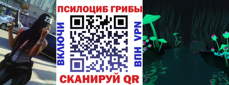 даркнет состав  Рошаль  Галлюциногенные грибы Magic Shrooms 